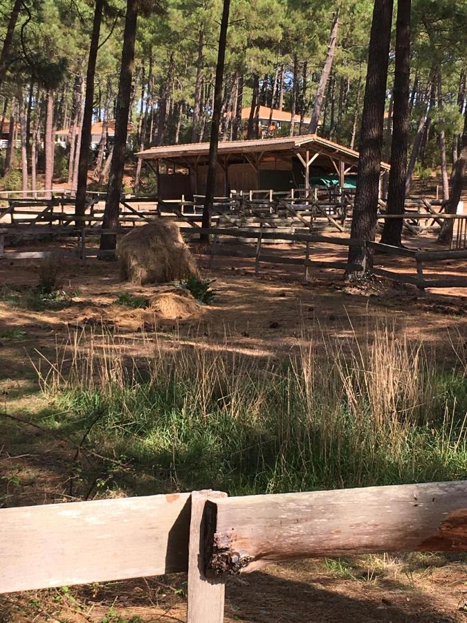 Chalet Orange Naturiste La Jenny Льо Порж Екстериор снимка